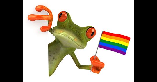 Det Enda Förvånande I Sakfrågan