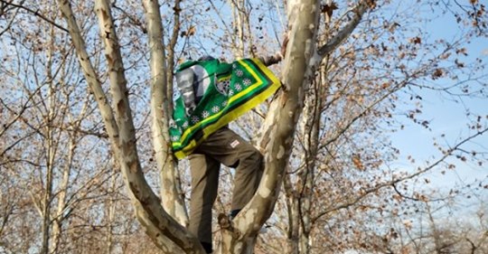 Genomrutten Opinionsbildning