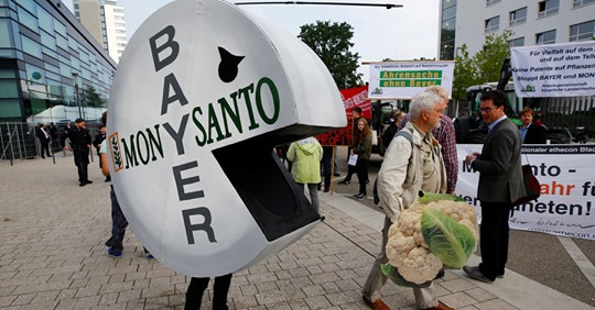 Alltmer Allmänt Synlig Korruption