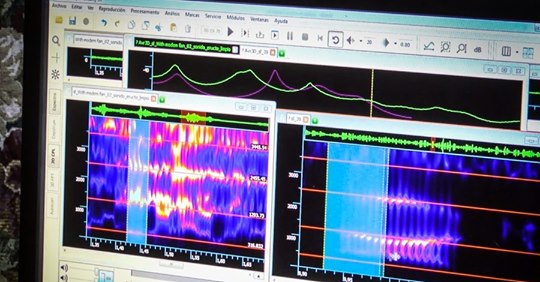 Identifieringsdilemma