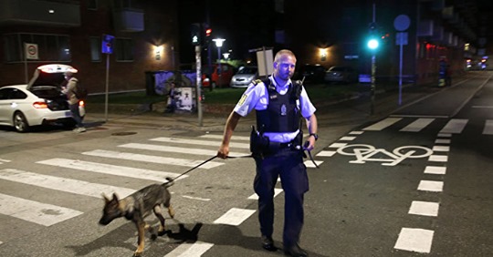 En Halv Brigad Borttappad