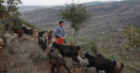 Israelisk Förståelsedags