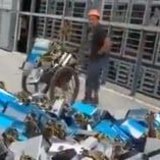 Egennyttig Till Natur & Karaktär