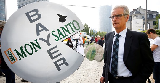 Bayer På Vanligt Tema