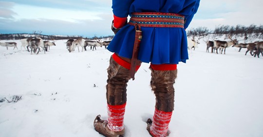 Skademinimeringstrams