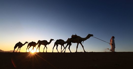 Saudi Investerar I Ryssland