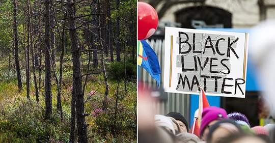Intresse För Svensk Dumhet
