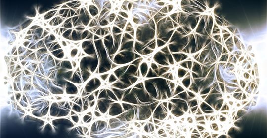 Laboratorieodlad Minihjärna