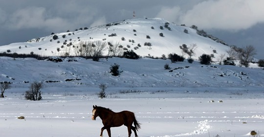 Avståndstagande Igen Angående Golanhöjderna