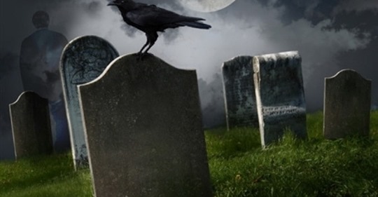 Demokratiskt Självmord