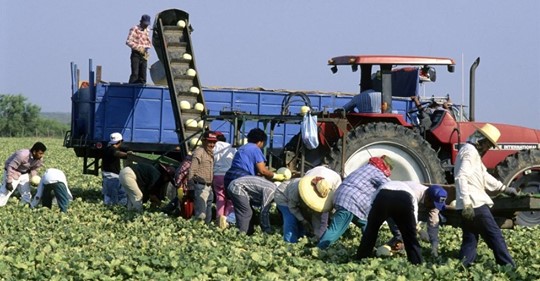 Exploaterande Nyttotagarintressen