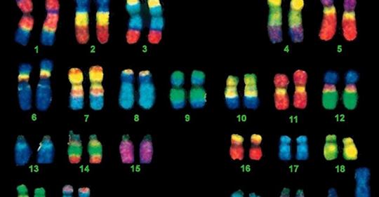 Grund För Judiskhet