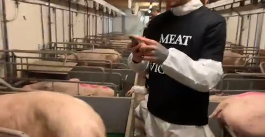 Finansierade Barn Leka Gemensamt