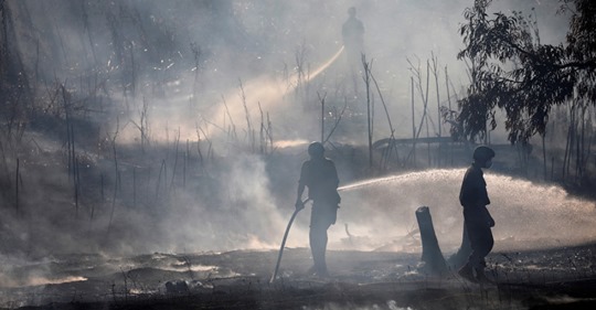 Israelisk Svensksjuka