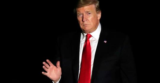 Märkliga Träd På Oväntade Platser