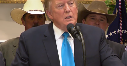 Eftertänksamt Placerande