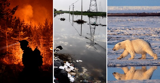 Samma Lösning - Ökad Konsumtion