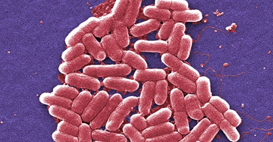 Smutsigt Norskt Vatten