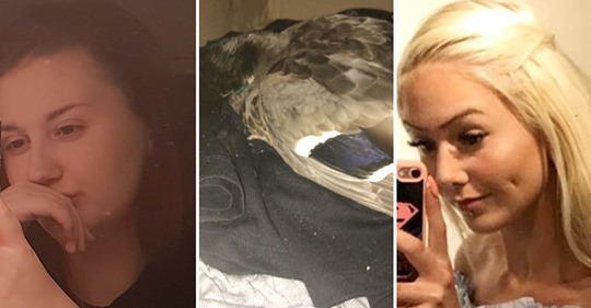 Miljöbelastande Djurvänner