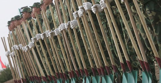 Militärisk Kinesisk Trädplantering