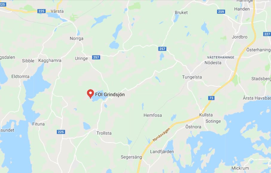 65454802_10217215381831433_2578029487786557440_n (1)