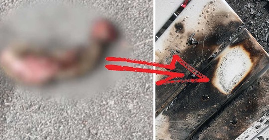 Nazistisk Marknadsföring