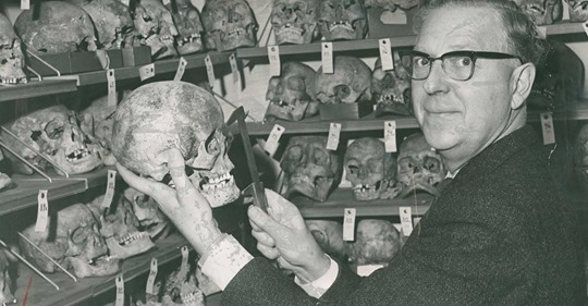 Del av Himmlers Projekt