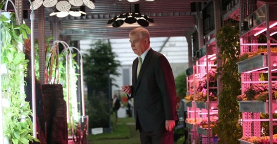 Växande Pedofiliproblem