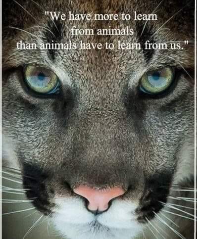 9028EECB-8DEF-4BBE-BFE3-BAF3DD8B6611