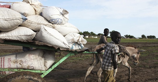 Afrikansk Djupavveckling III