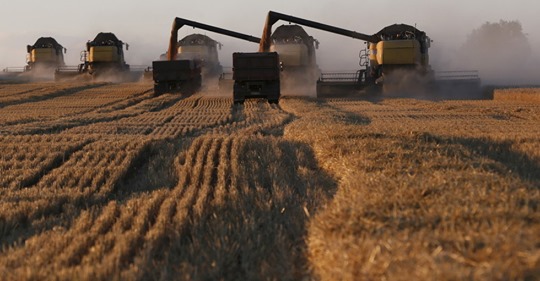 Afrikansk Djupavveckling IV