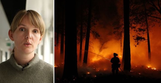 Regenerera Eller Degenerera