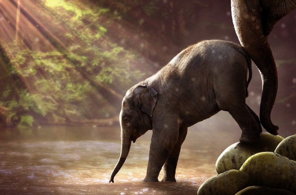 Större Än Den Sanningsenliga Verklighetsbeskrivningen