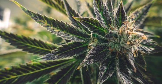 Psykosocial Särklass