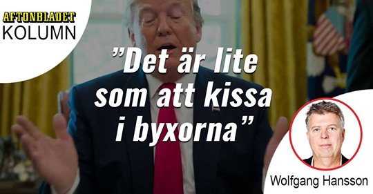 Wolfgangs Intellektuella Position