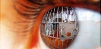 Individens Väg Framåt