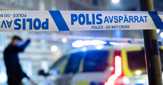 S. Holgersson, J. Sarnecki & BRÅ