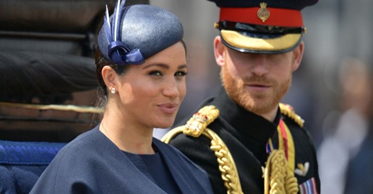 Stegvist Bortdragande