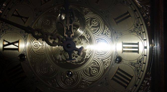 Svensk NSDAP – Politik