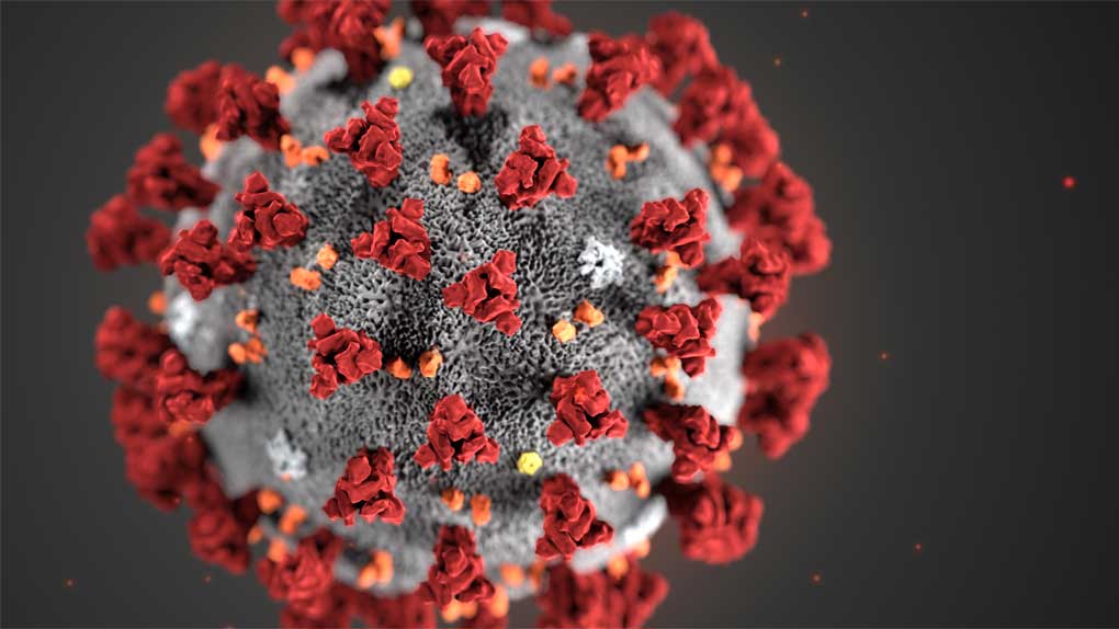 Synlig & Osynlig Fiende