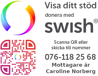 Stöd Folkbildningsprojektet