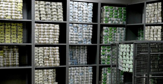 Bankfrysning I Libanon