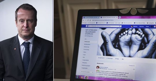 Ygeman, Ryssar & Svenska Aktivister