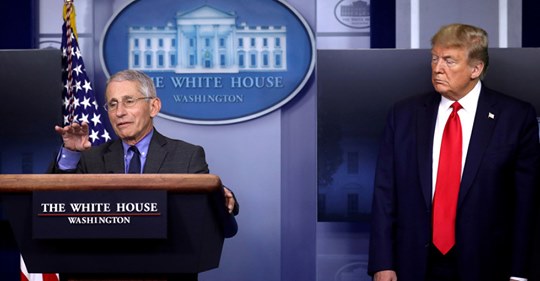Trump & Fauci