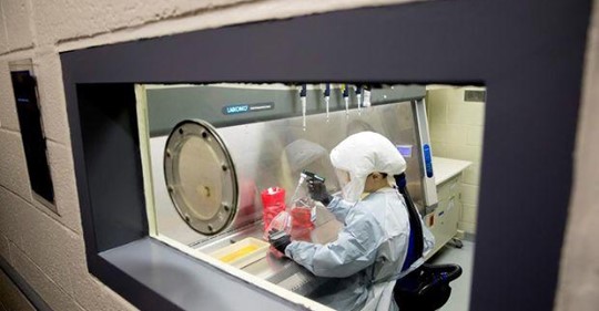 Stöldförsök Av Intellektuell Egendom