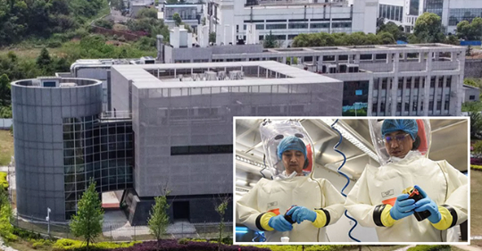 Fullskalig Amerikansk Undersökning