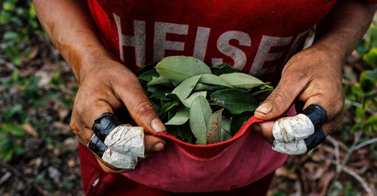 Narkotikahandel & Wuhan