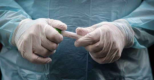 Bortflygande Fladdermusteori