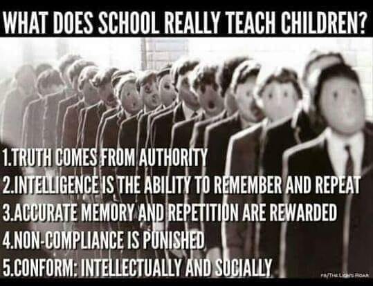 Institutionaliserad Utbildning