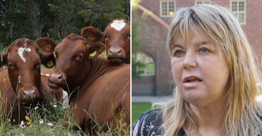 Svårt Att Ta På Allvar